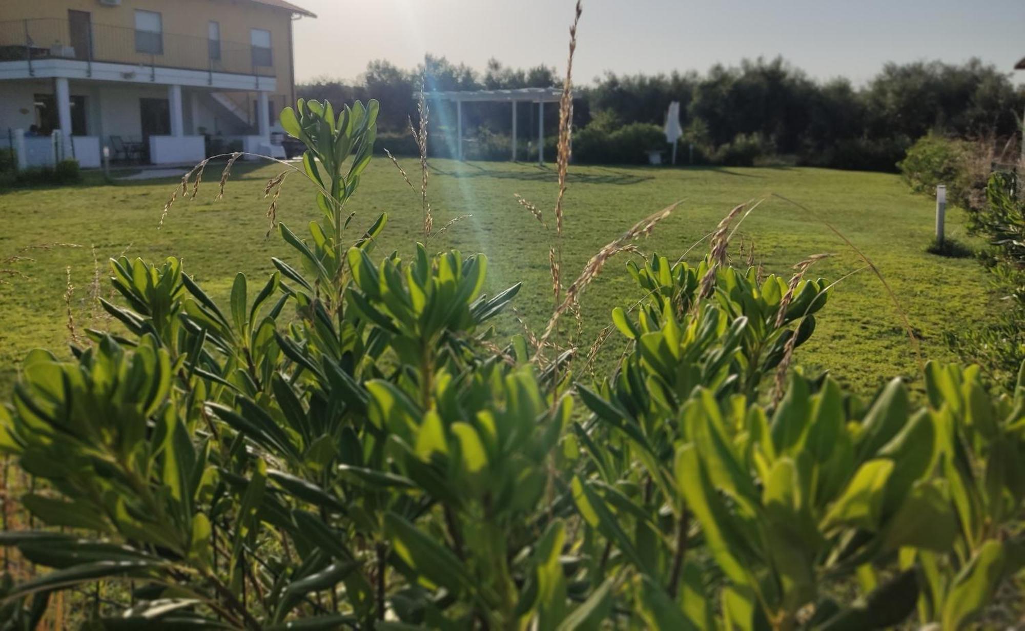 Natura E Mente Camere E Relax Vasto Eksteriør bilde