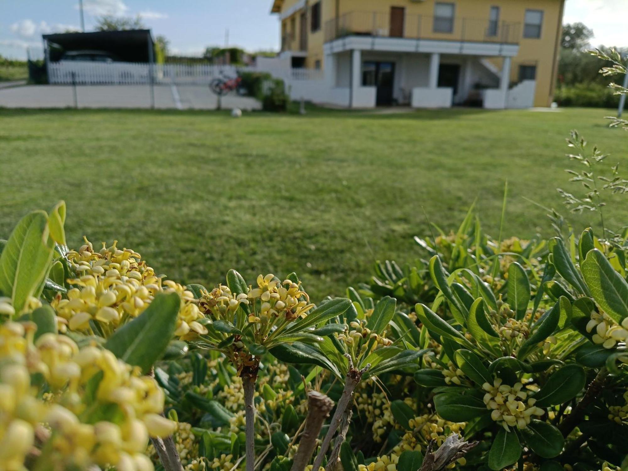 Natura E Mente Camere E Relax Vasto Eksteriør bilde